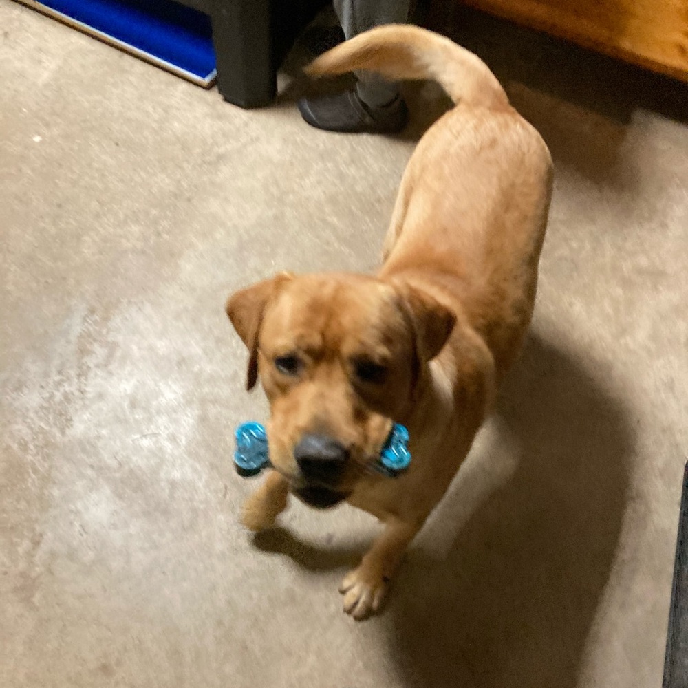 Meet your Posher, Manda